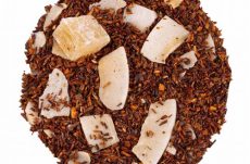 Rooibos Saint-Laurent